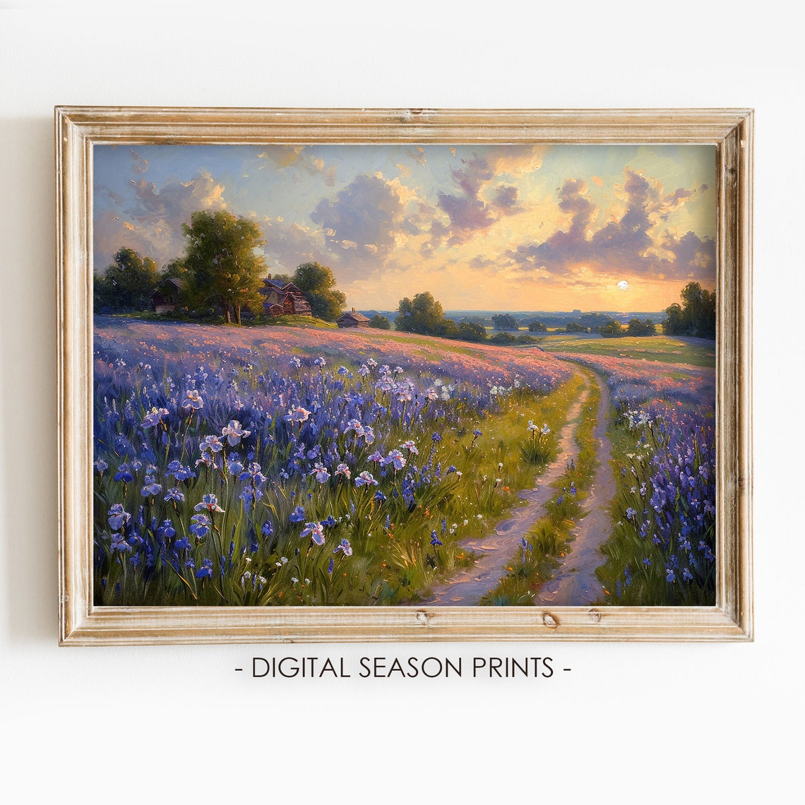 Evening at the Iris Field Purple Flowers Sunset Landscape Poster