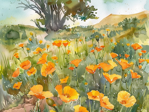 Vibrant California Poppy Field Under Golden Afternoon Light Poster