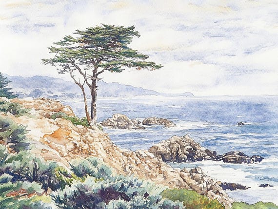 Monterey Cypress Tree Watercolor Art Print