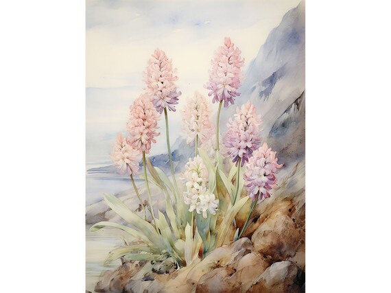 Pink Hyacinth Blooms on a Rocky Coastal Cliff Watercolor Poster