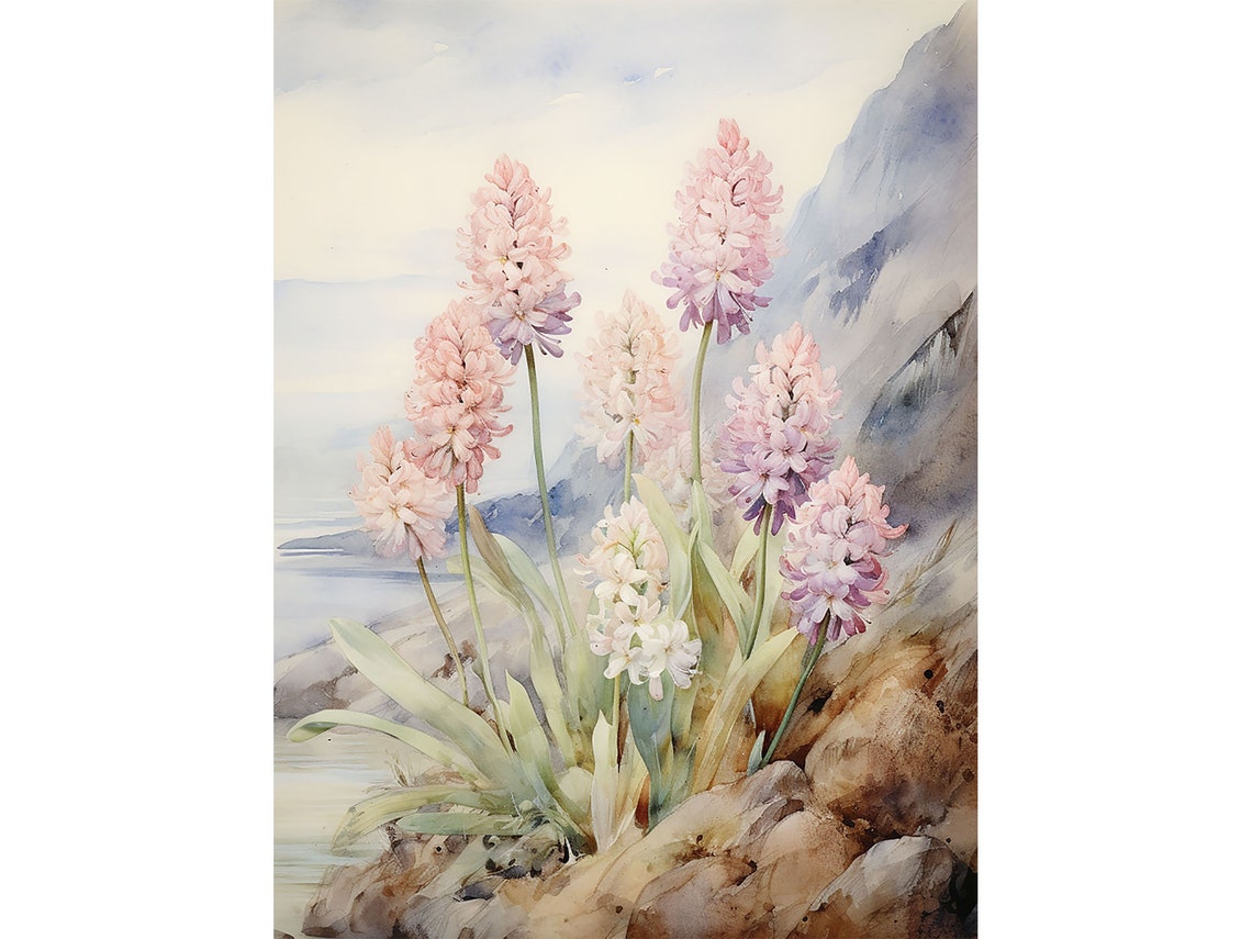 Pink Hyacinth Blooms on a Rocky Coastal Cliff Watercolor Poster