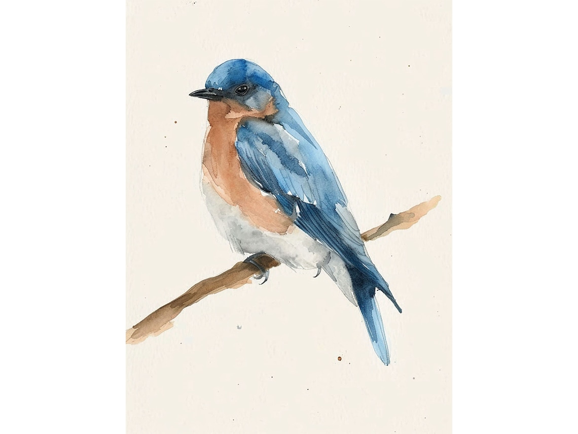 Eastern Blue Bird Minimalist Watercolor Art Print