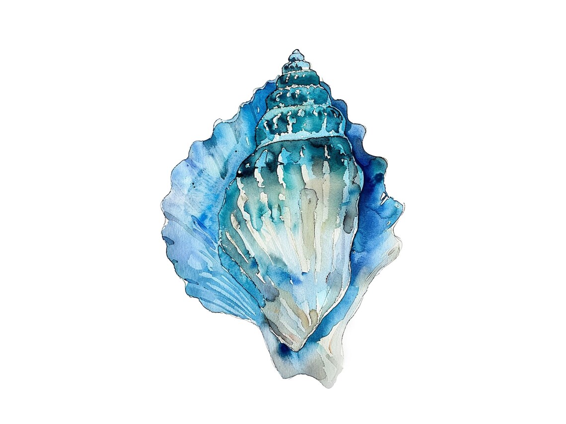 Seashell Watercolor Print, Coastal Nautical Art Print
