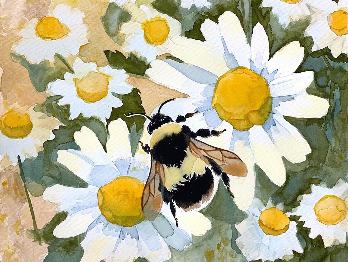 Bumble Bee Daisy Watercolor Art Print, Spring Floral