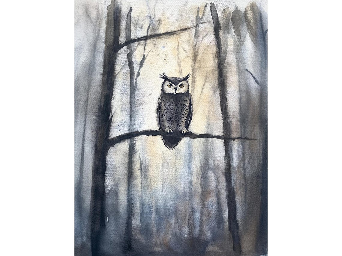 Great Horned Owl Staring from a Branch in a Foggy Forest Poster