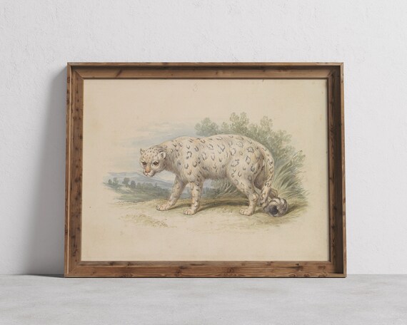 Vintage Snow Leopard Watercolor Antique Nursery Animal Poster