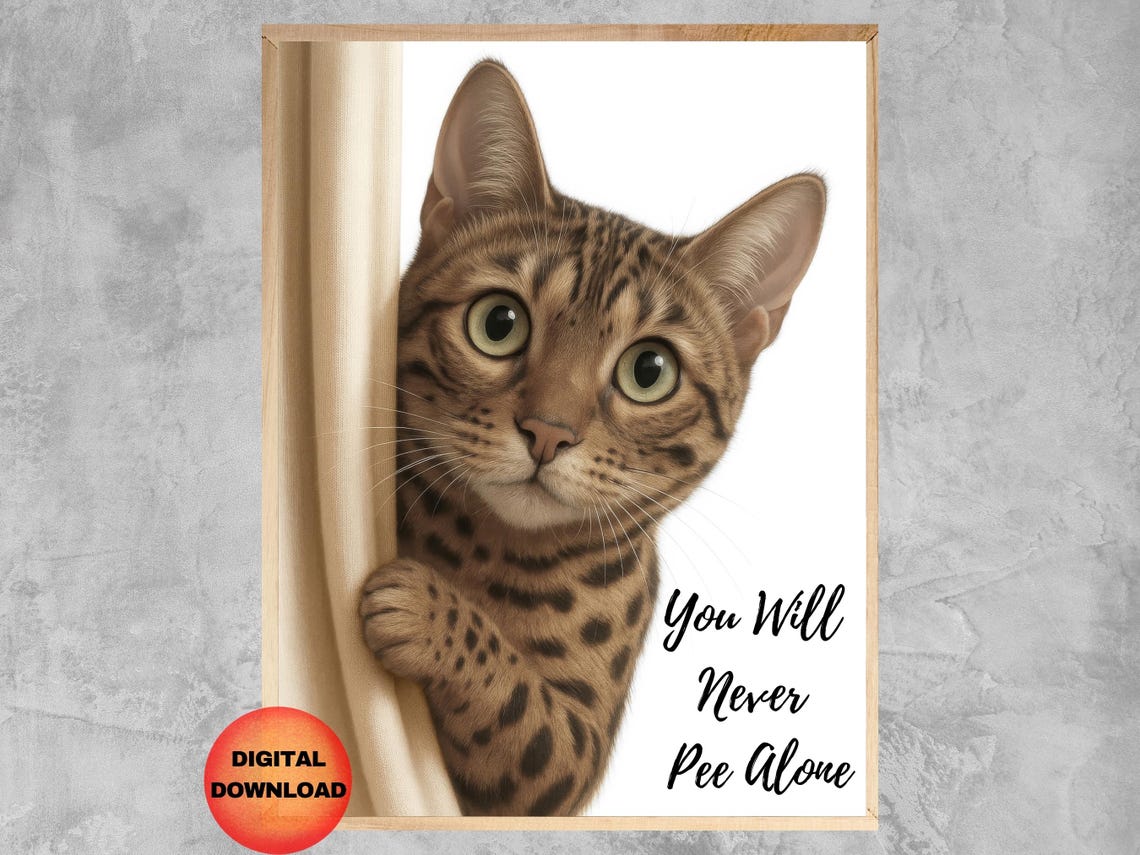 Bengal Cat Peeking Curtain Funny You Will Never Pee Alone Poster