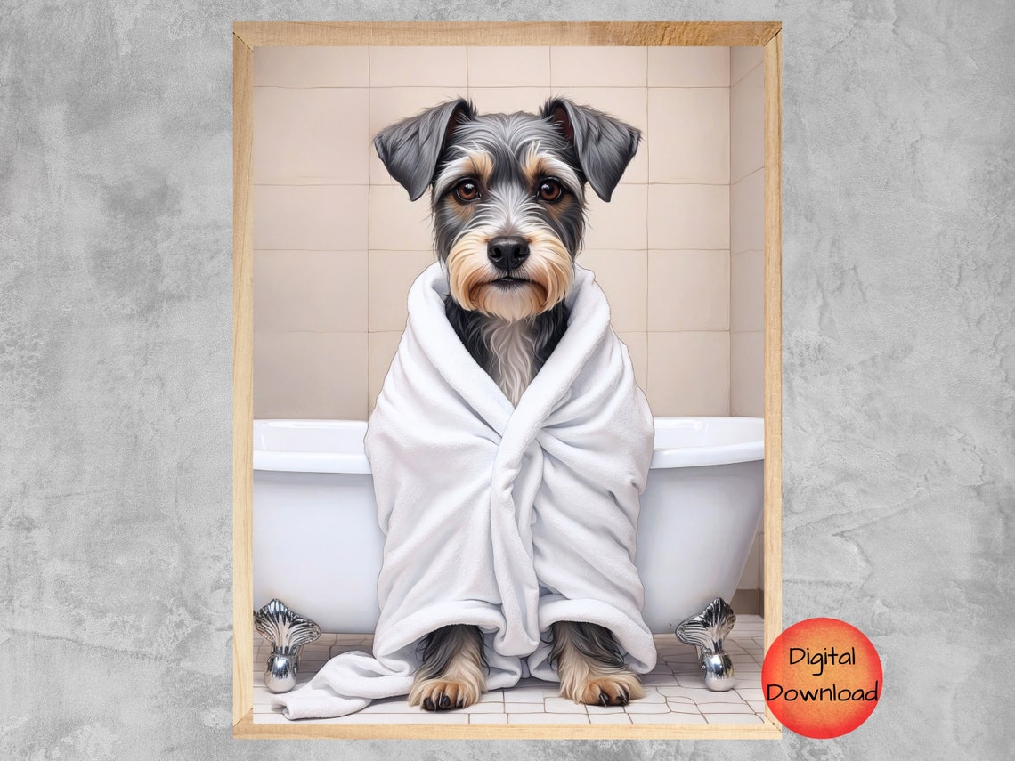 Miniature Schnauzer In White Bathrobe Funny Bathroom Decor Print