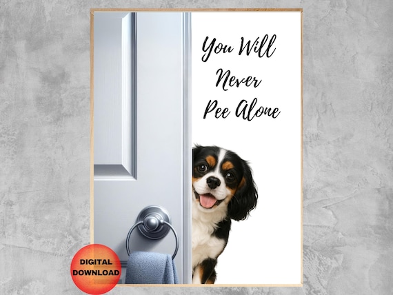 Cavalier King Charles Spaniel Never Pee Alone Poster