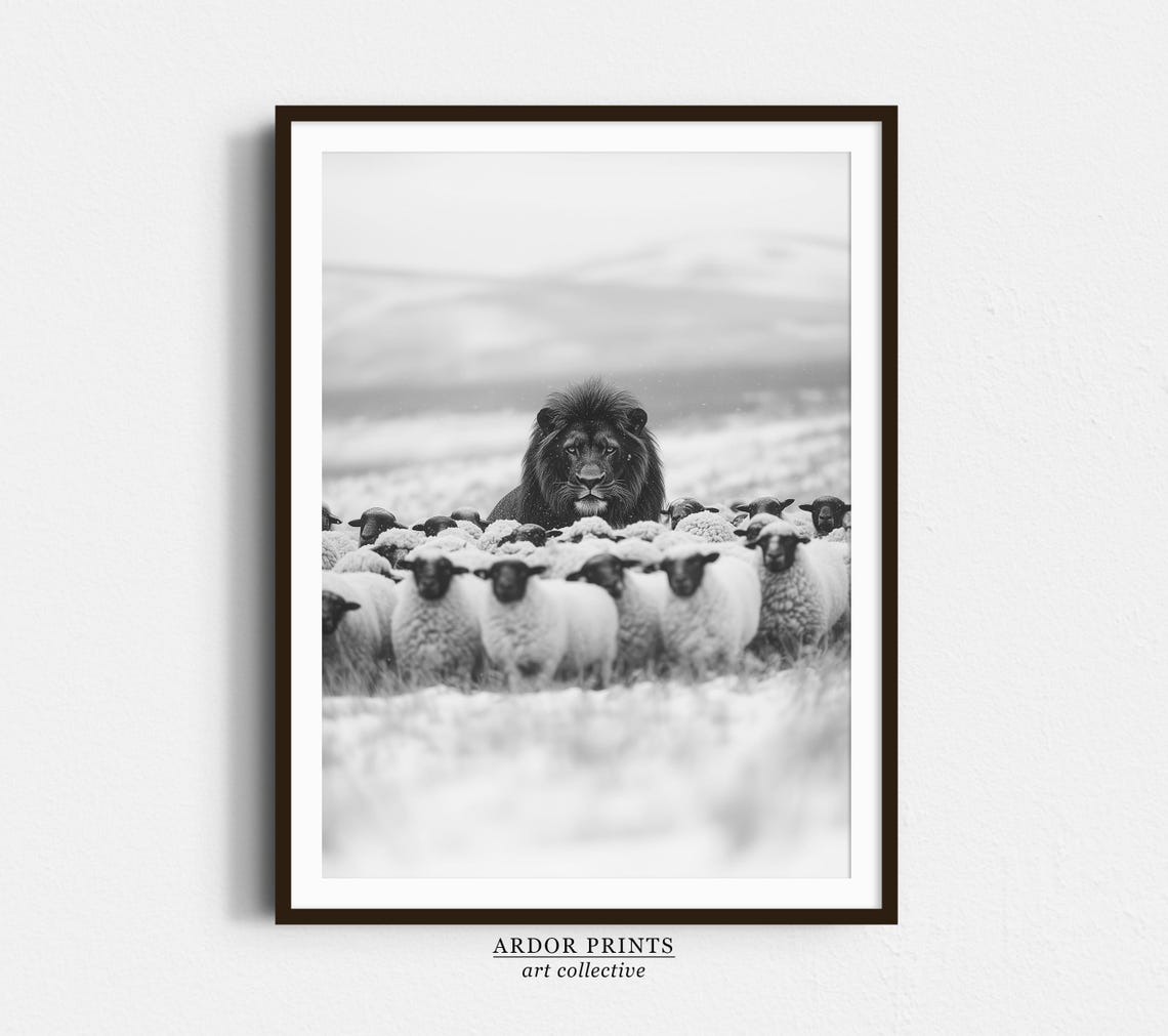 Lion Standing Among Sheep in Snow Black and White Wildlife Poster