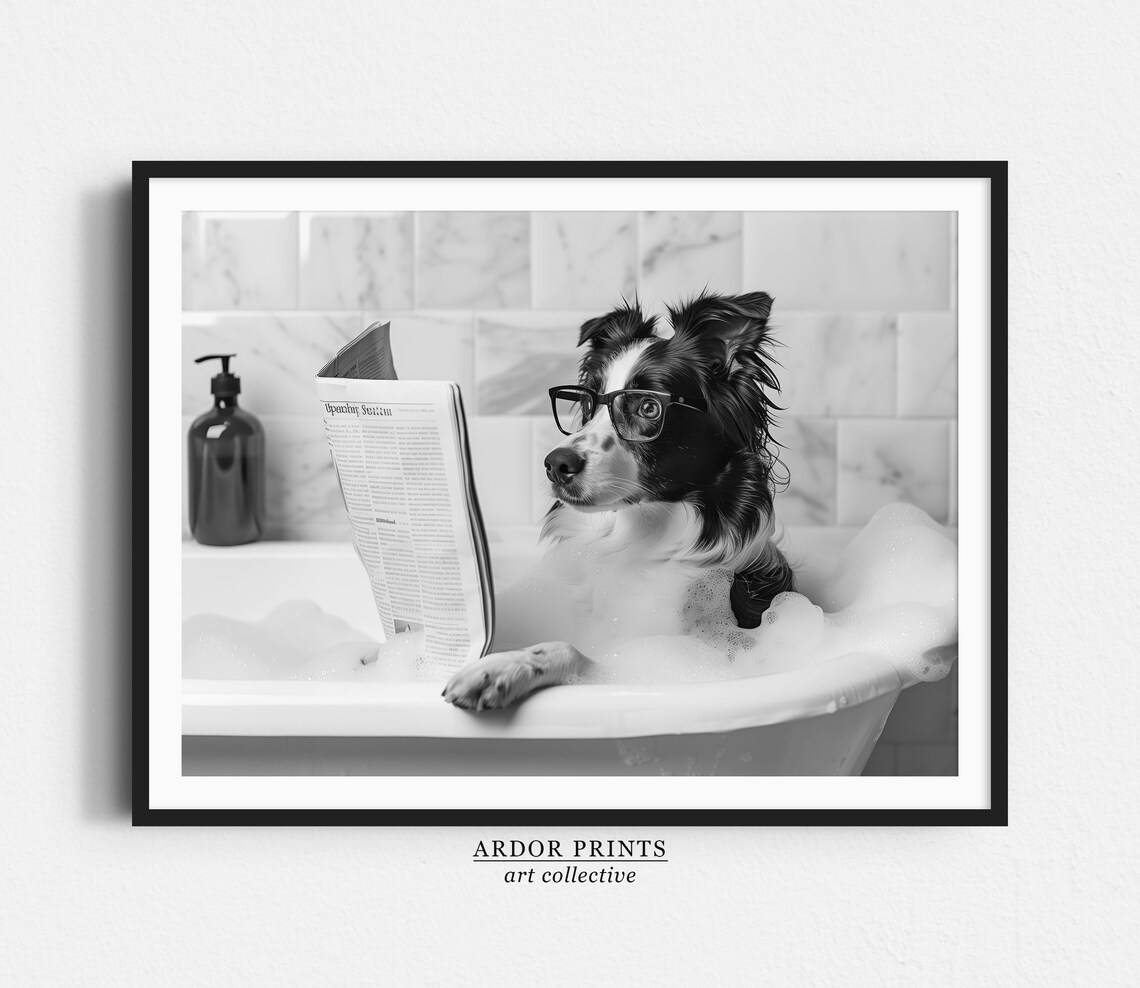 Border Collie in Bathtub, Funny Bathroom Art Print