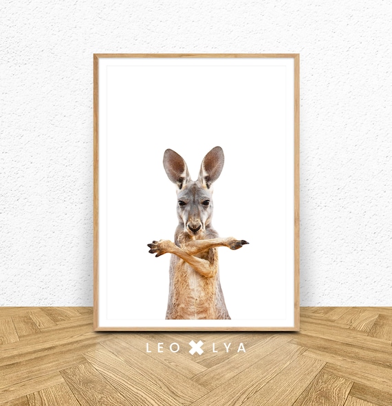 Kangaroo Arms Crossed Funny Animal Portrait Photo Poster for Kids Rooms