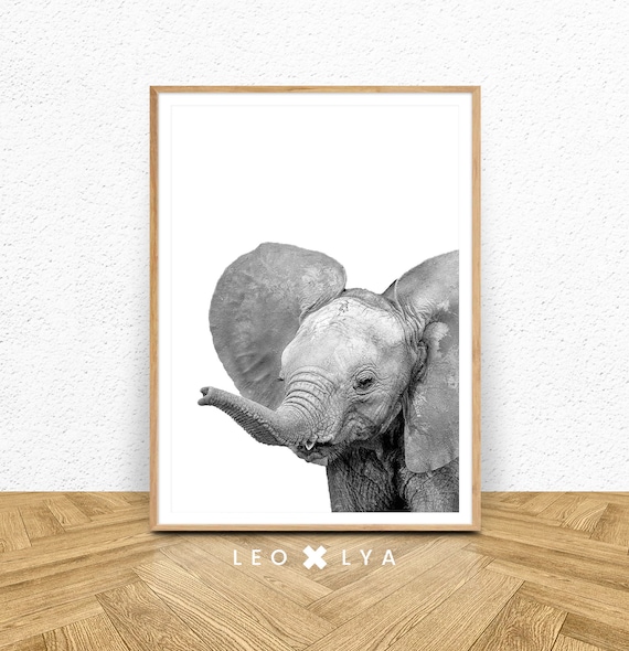 Baby Elephant Black and White Cute Animal Photo Poster for Nursery Decor