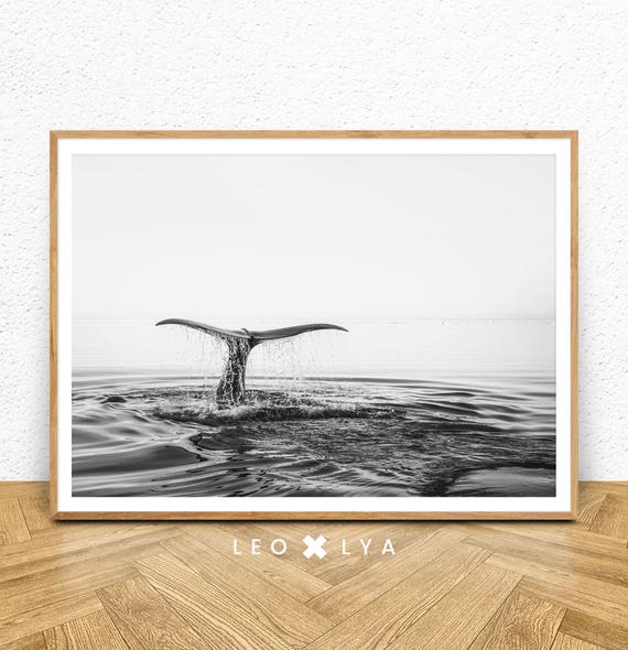 Whale Tail Ocean Print Decor, Coastal Wall Art