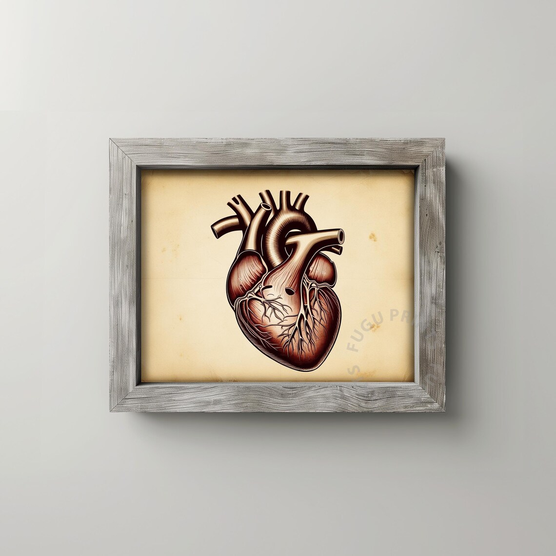 Anatomical Heart, Vintage Style Medical Art Print - Image 2