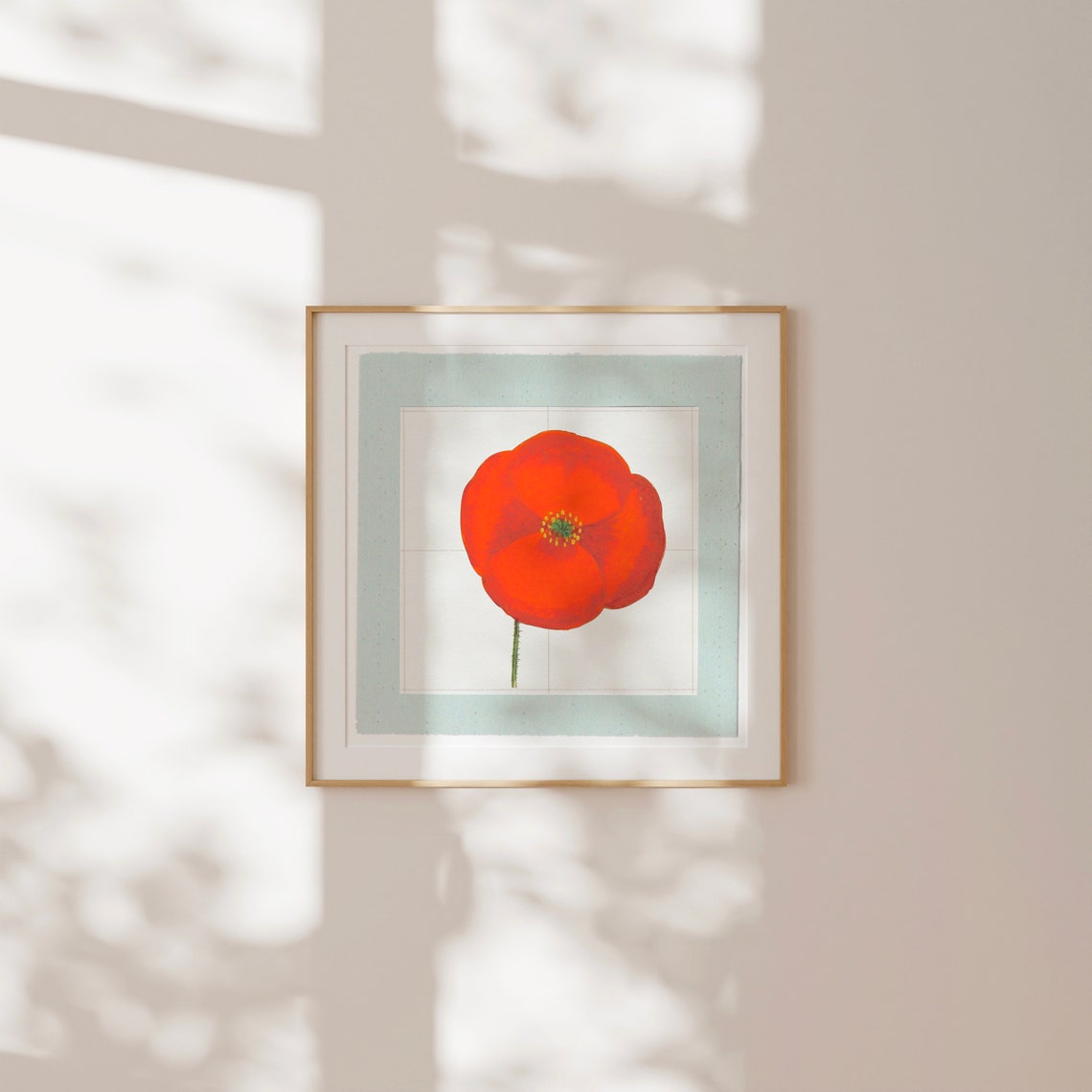 Single Red Poppy Flower Head on Sage Green Border Square Art Print - Image 3