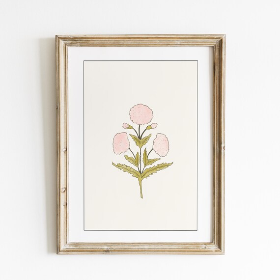 Pink Dahlia Botanical Floral Line Illustration Vintage Poster