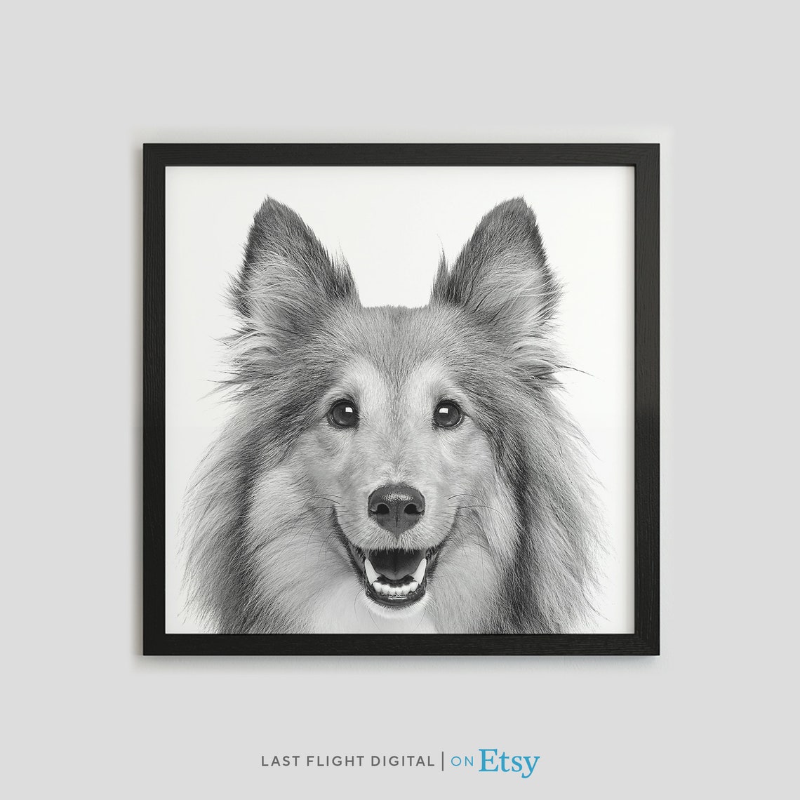 Dog Print Sheltie Dog Poster Puppy Print Puppy Poster Kids Room Face Black White Photo Nursery Shetland Sheepdog Print
