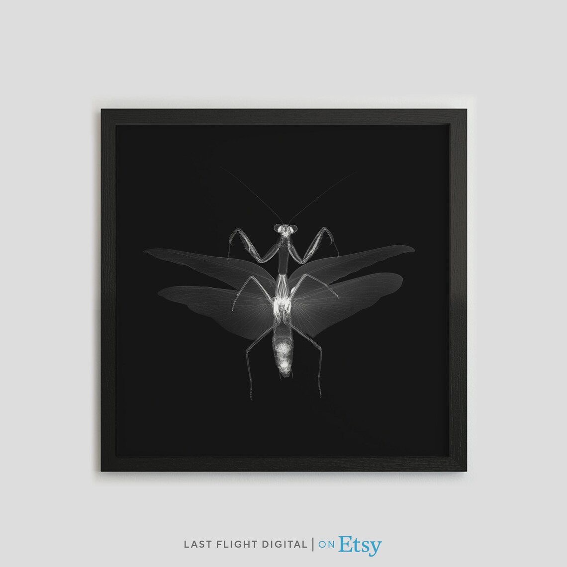 Preying Mantis X-Ray Art Print, Gothic Dark Art