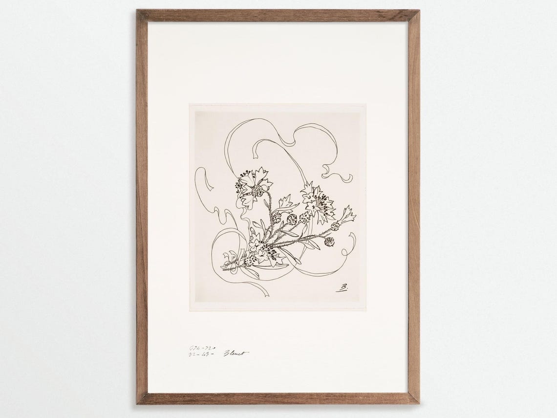 Cornflower Vintage Botanical Sketch, Chinoiserie Art Print