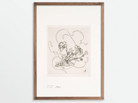 Cornflower Vintage Botanical Sketch, Chinoiserie Art Print