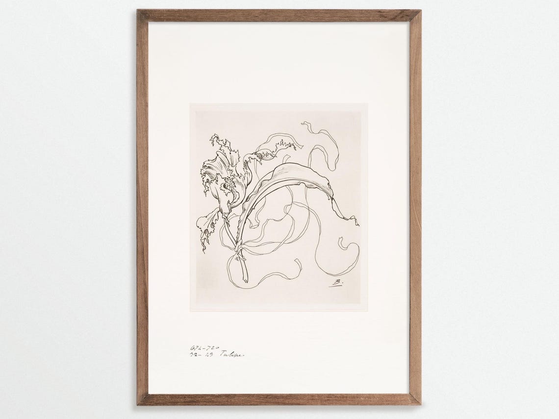 French Porcelain Flowers Sketch, Vintage Chinoiserie Art Print