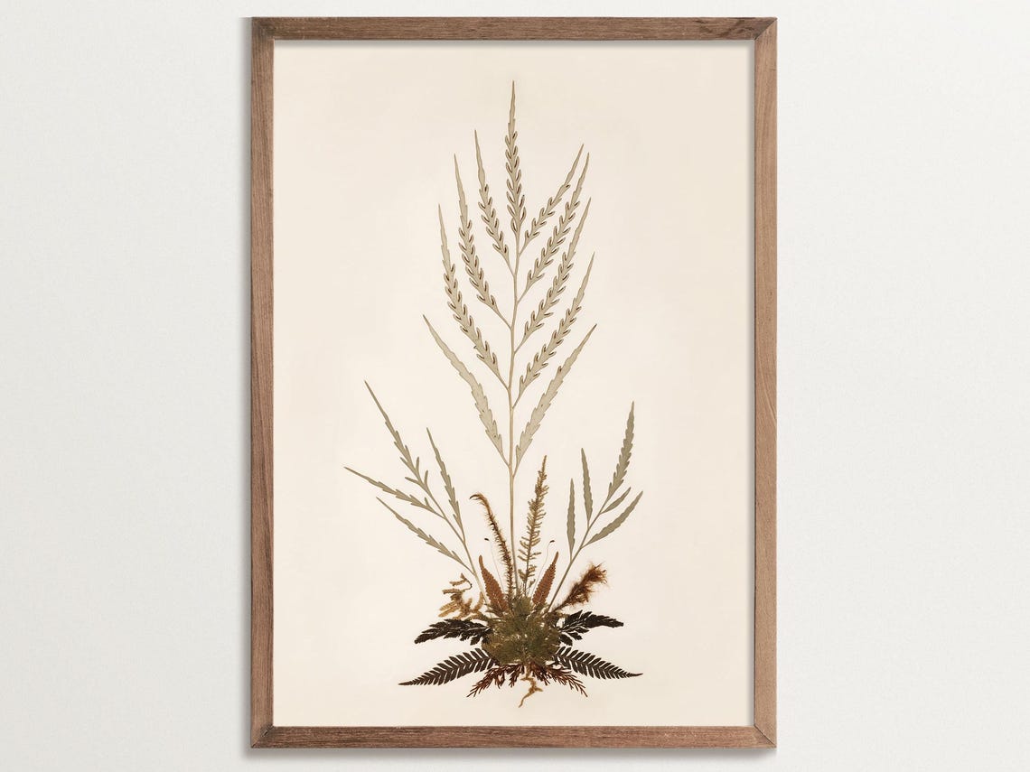 Fern Print No 09, Vintage Botanical Art Print