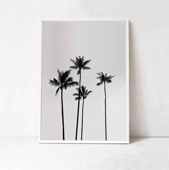 Palm Tree - Black And White Tropical