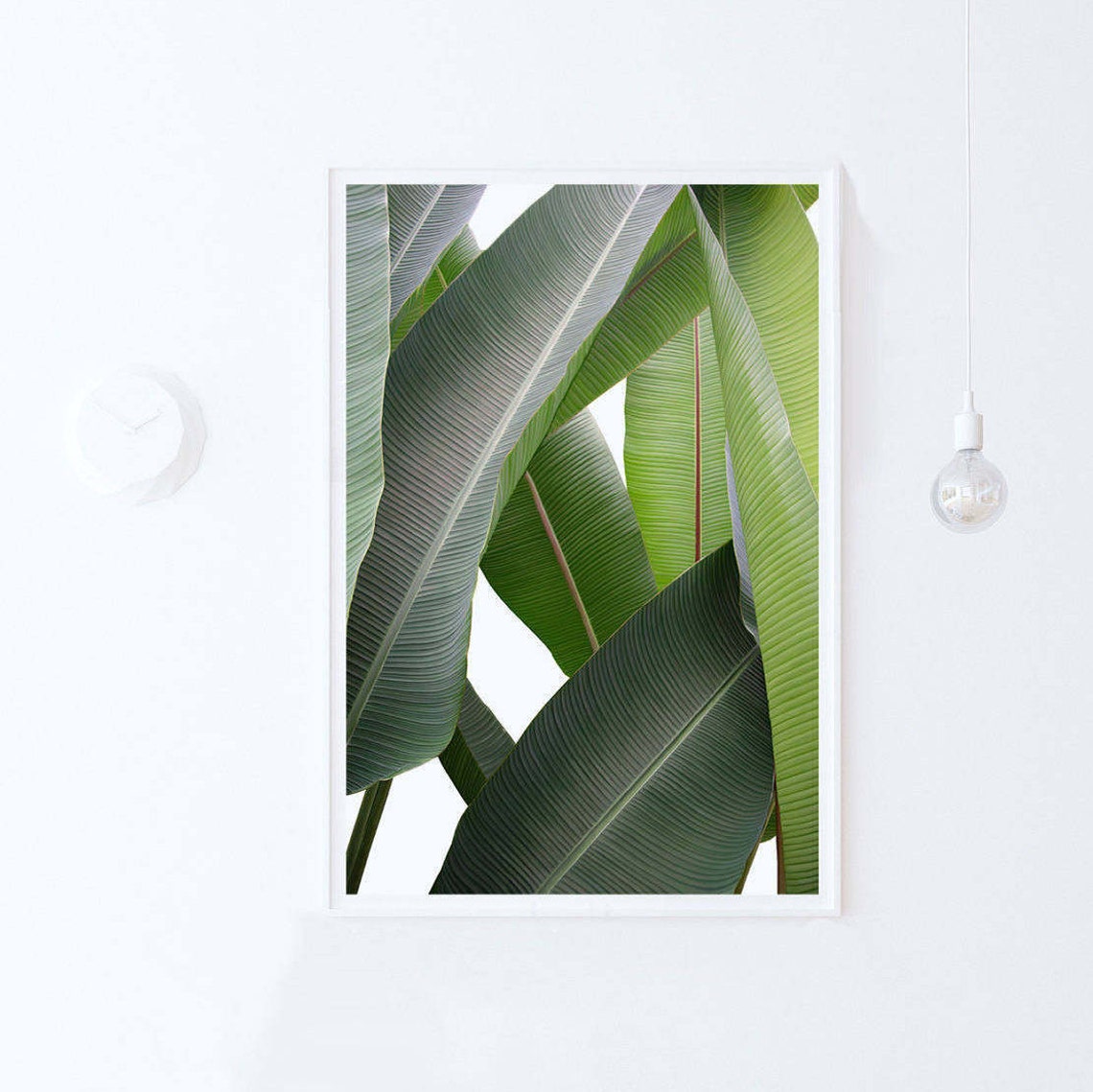 Banana Leaf - Tropical Botanical Print