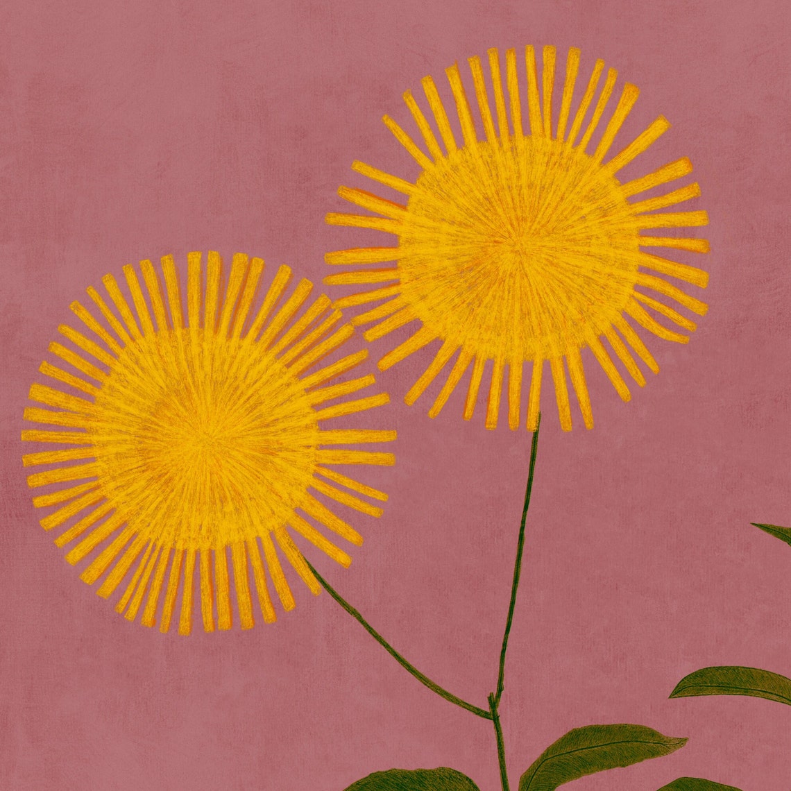 Floral Flowercore Art Print, Blush Pink and Yellow - Image 2