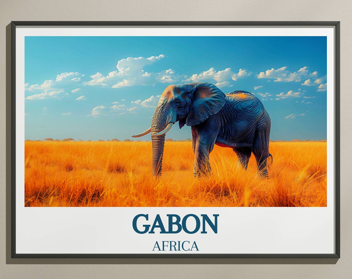Gabon Africa Elephant Bull In Golden Savanna Grass Field Poster