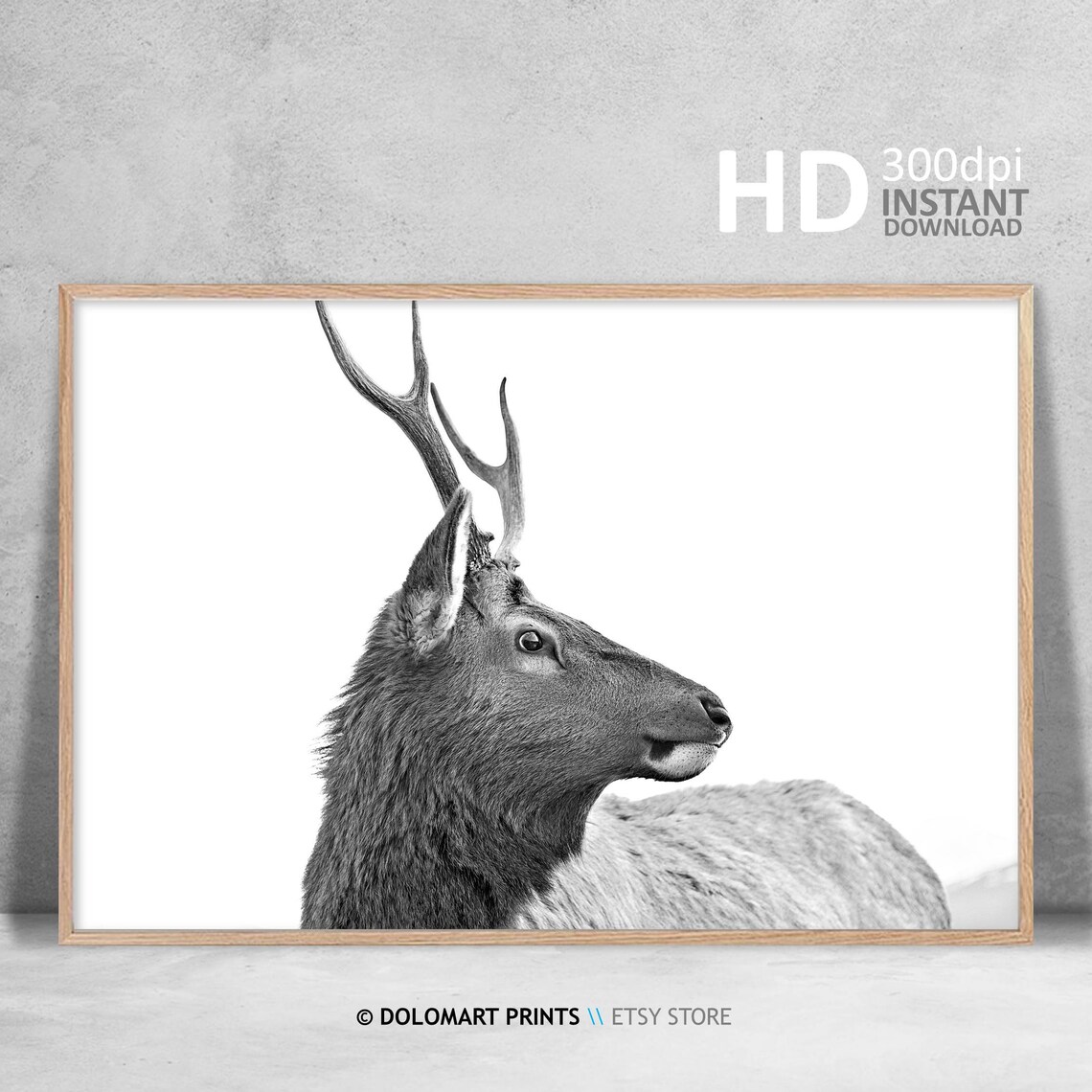 Elk Stag Profile Black and White Wildlife Photography Poster - Image 3