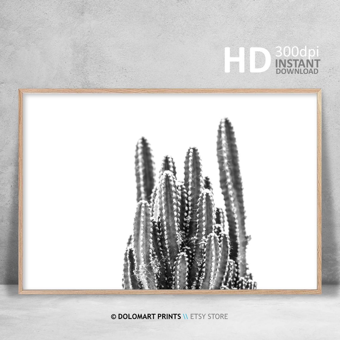 Black And White Cactus Cluster On White Background Desert Plant Poster - Image 3