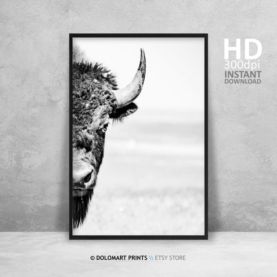 Bison Wilderness Photography Poster, Animal Wall Art - Image 4