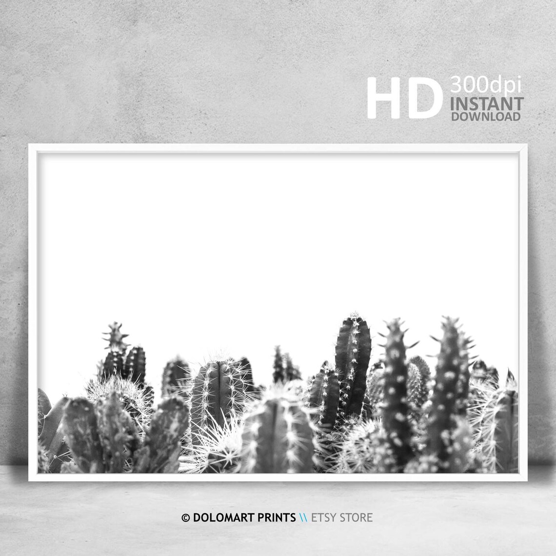 Black And White Cactus Print, Farmhouse Wall Decor