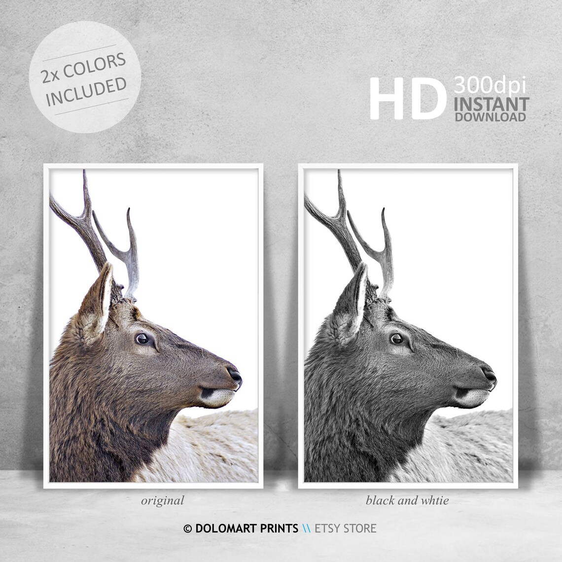 Majestic Elk Portrait Close Up Branching Antlers Wildlife Poster - Image 4