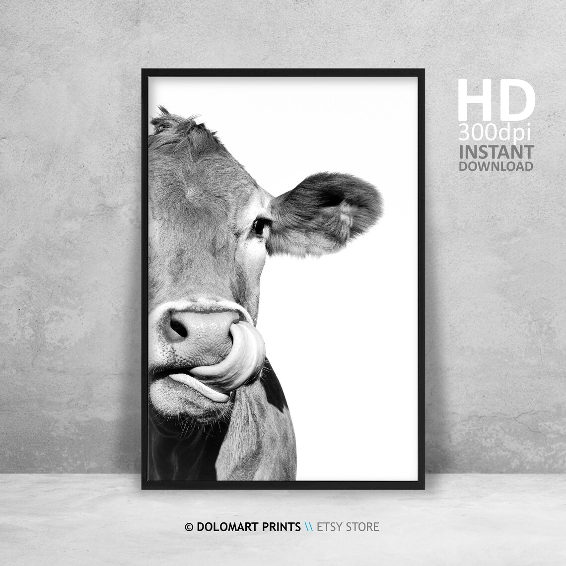 Cow Licking Nose Close Up Black And White Funny Farm Animal Poster - Image 4