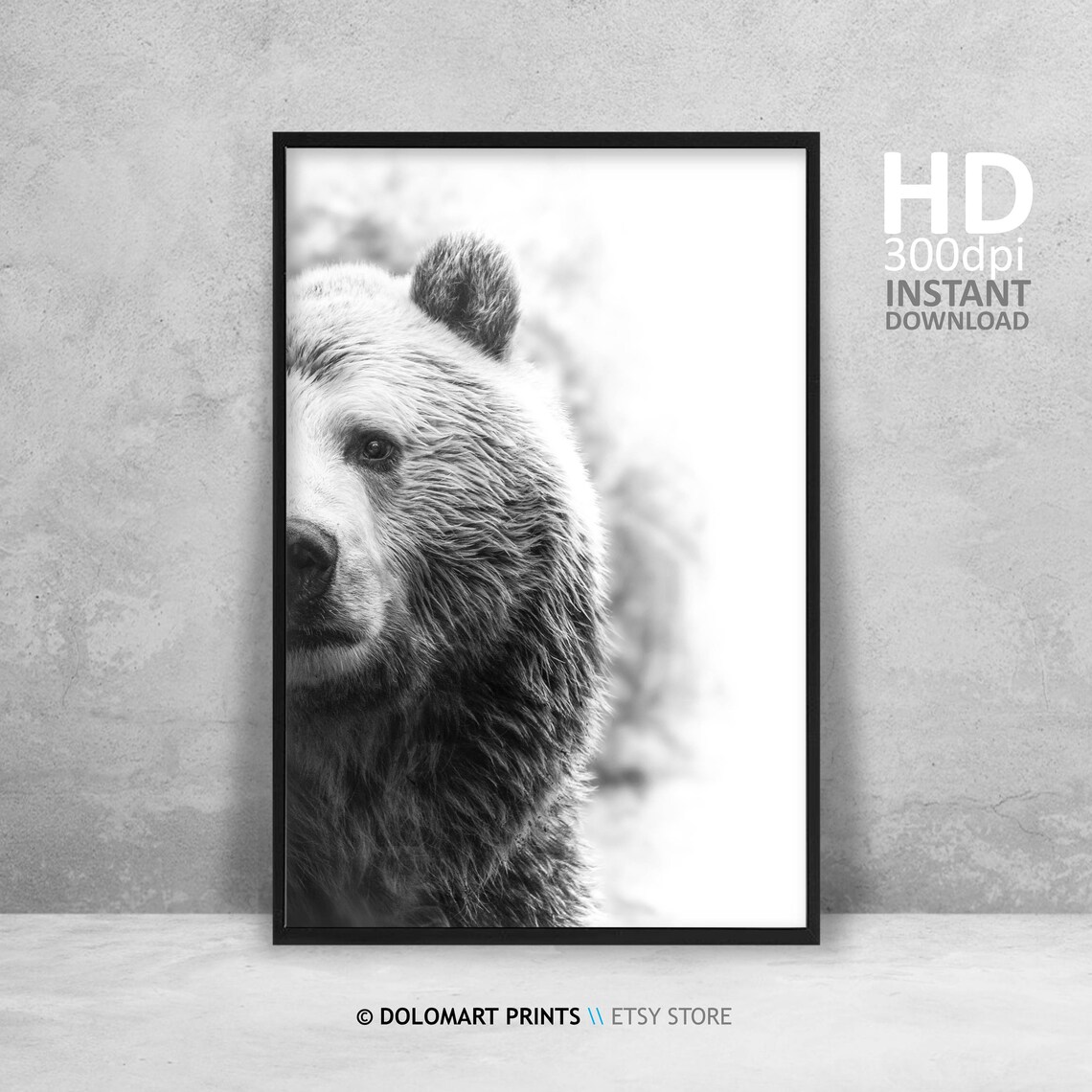 Bear Wilderness Photography Art Print, Grizzly Bear - Image 4