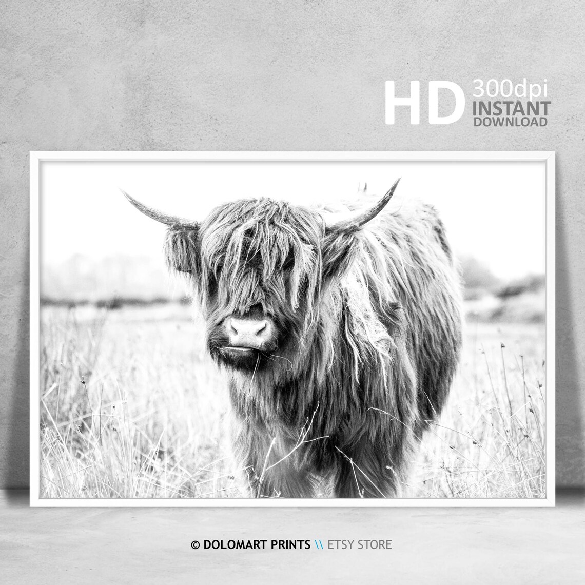 Rustic Highland Cow Black and White Animal Art Print