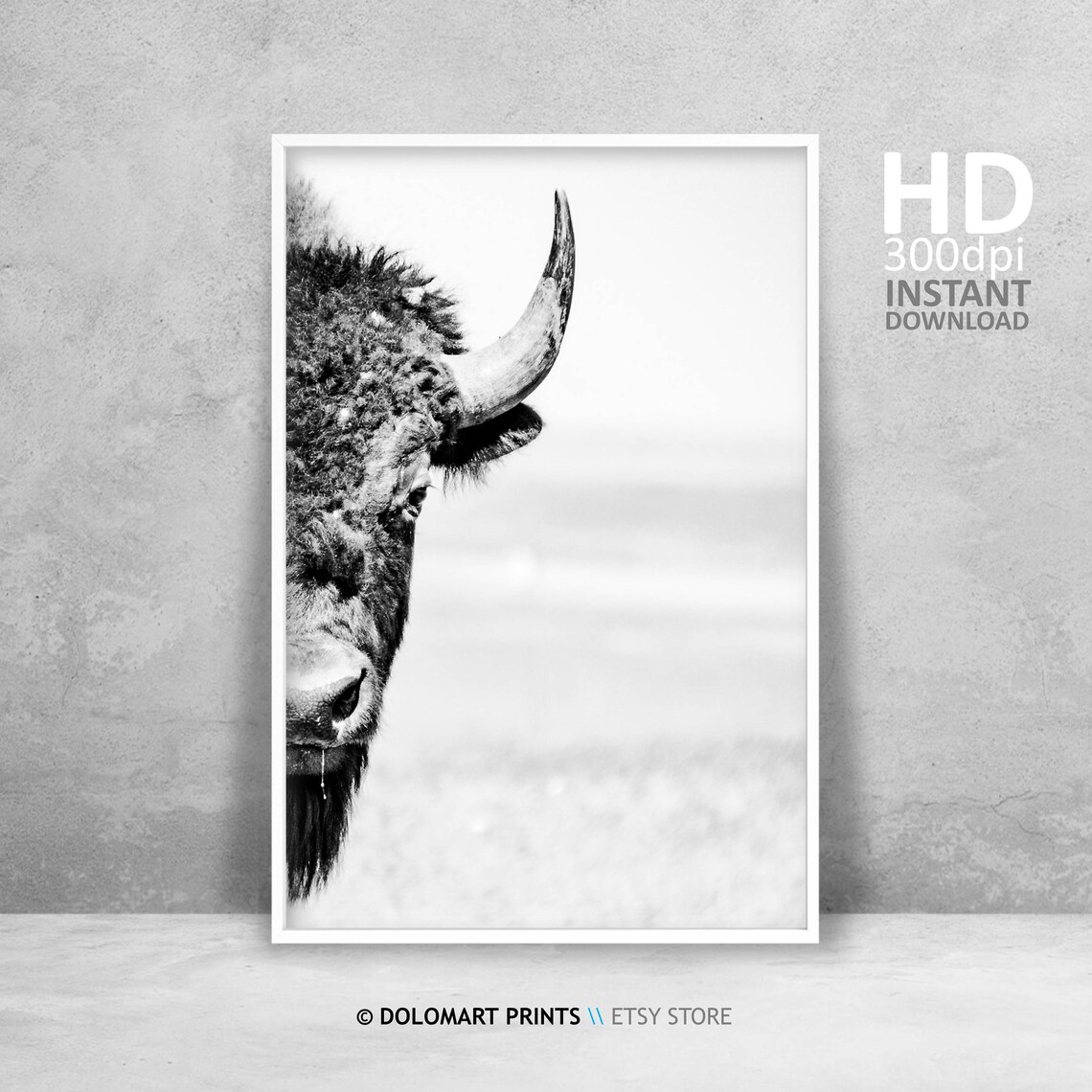 Bison Wilderness Photography Poster, Animal Wall Art