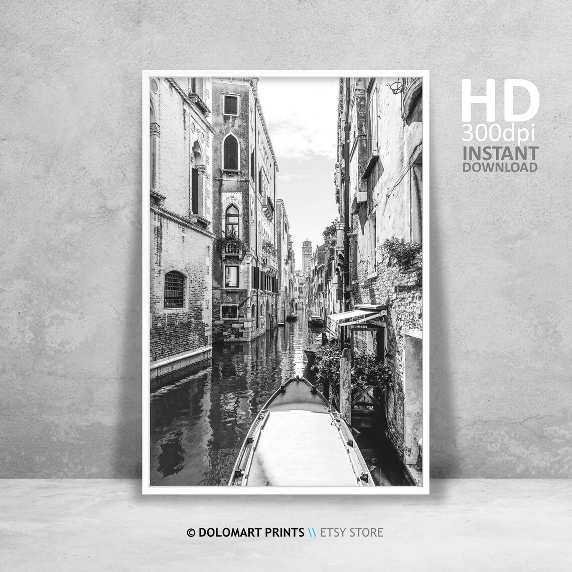 Venice Architecture, Italy Travel Poster Art Print