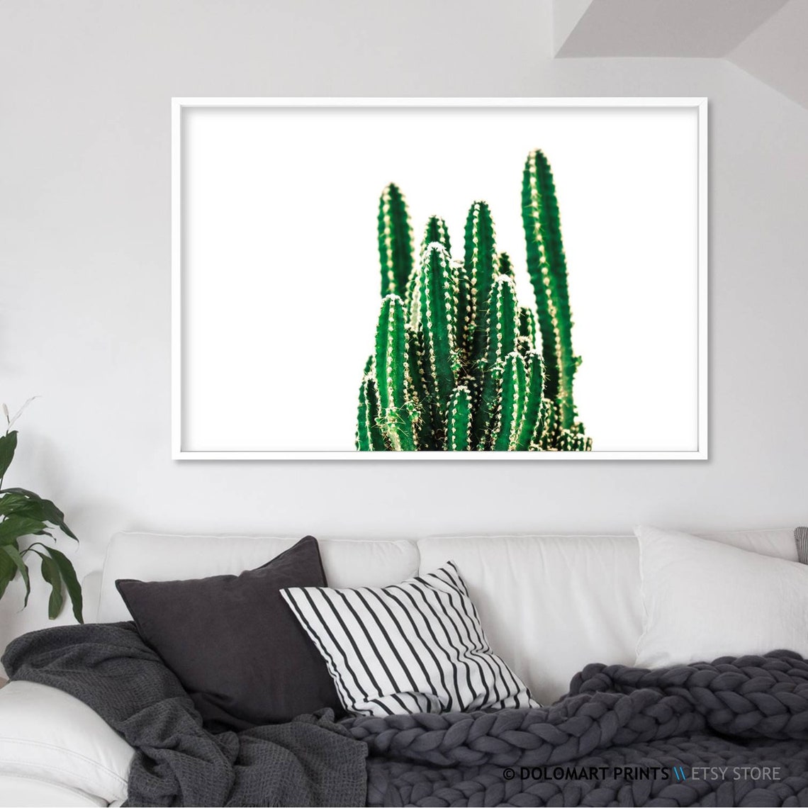 Green Cactus Cluster White Background Botanical Photo Poster - Image 2