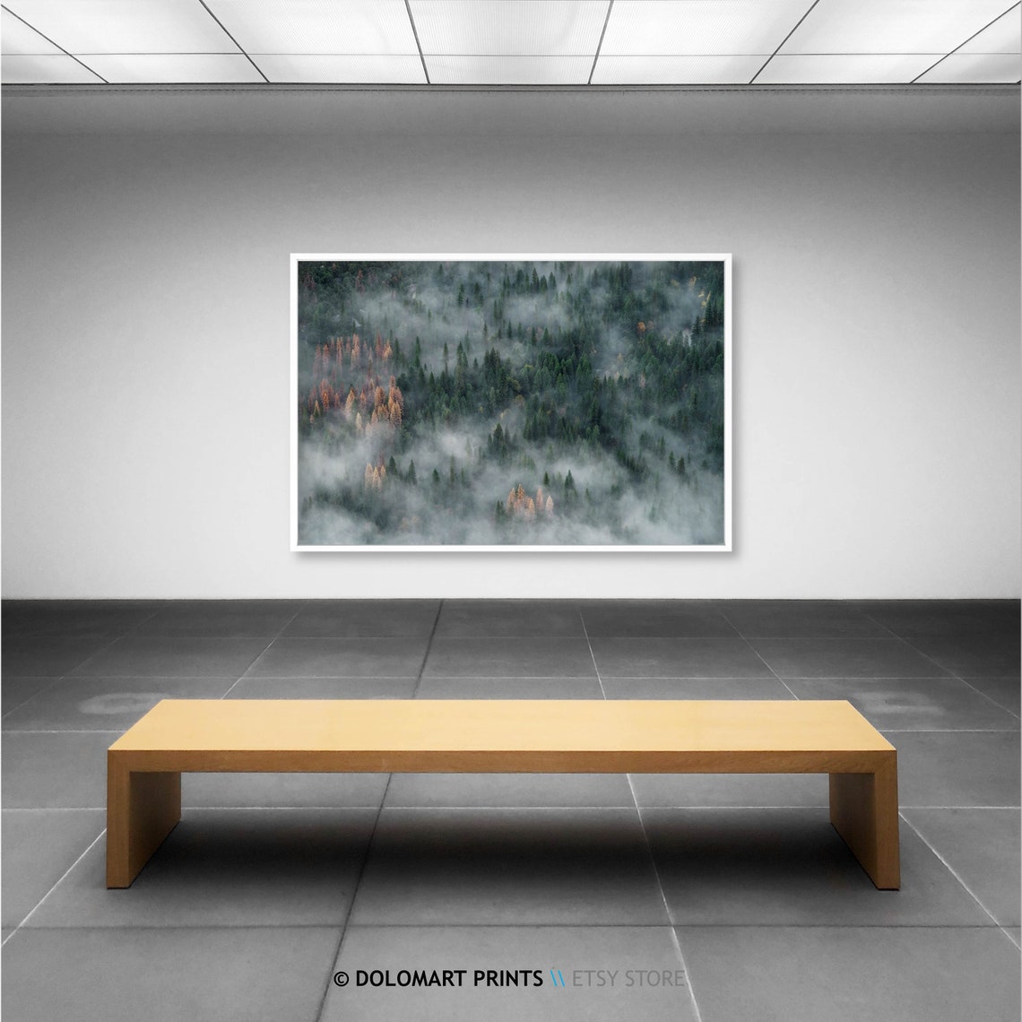 Aerial View Of Foggy Evergreen Forest In Mist Nature Landscape Poster - Image 2