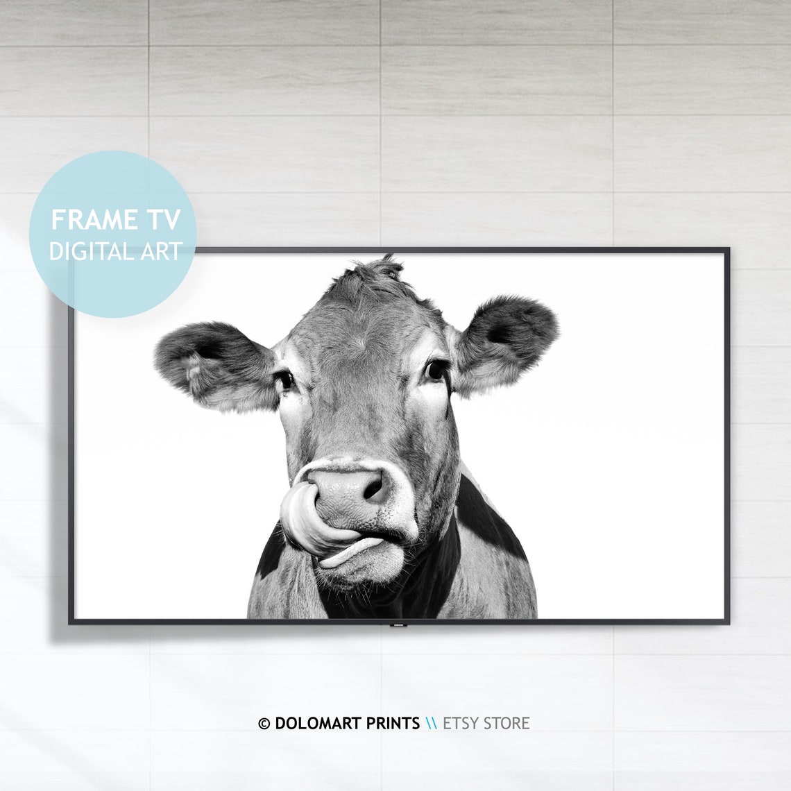 Cow Licking Nose Close Up Black And White Funny Farm Animal Poster