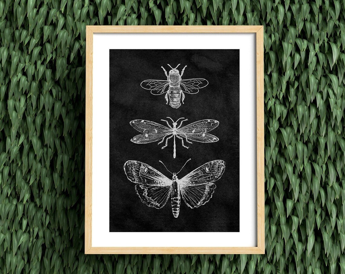 Mystic Botanical Bee Drawing, Boho Vintage Art Print