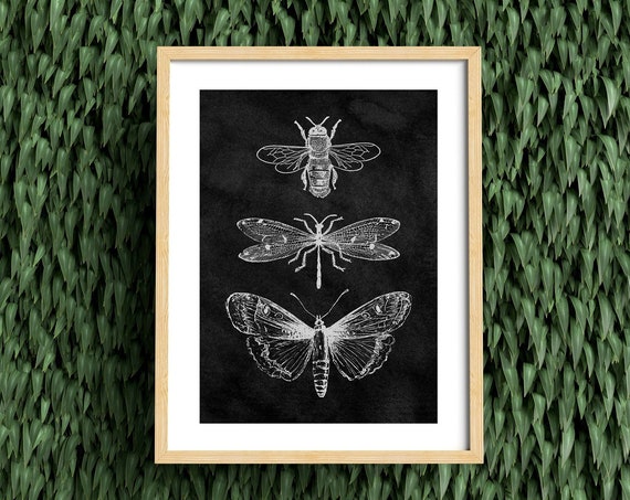 Mystic Botanical Bee Drawing, Boho Vintage Art Print