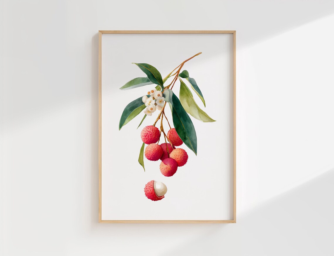 Lychee Botanical Wall Art Print Watercolour Fruit Illustration For Kitchen Or Dining Room