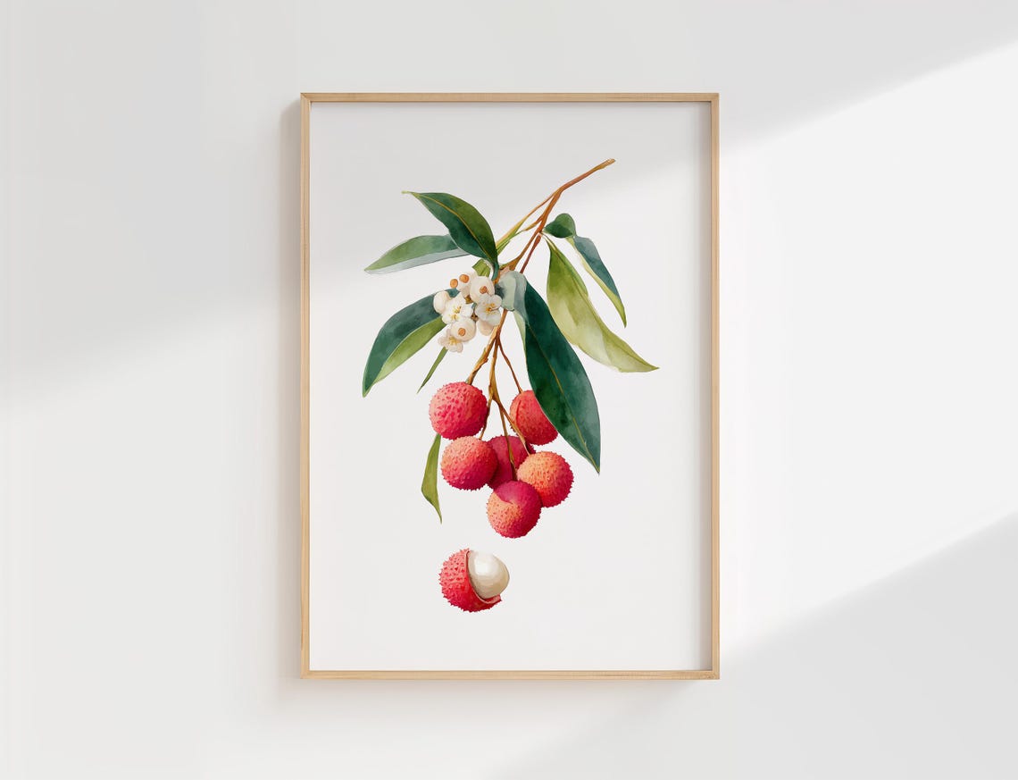 Lychee Watercolor Botanical Branch Blossoms Red Fruits Art Poster