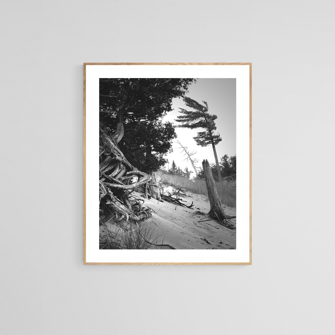 Michigan Black And White Photograph, Coastal Beach