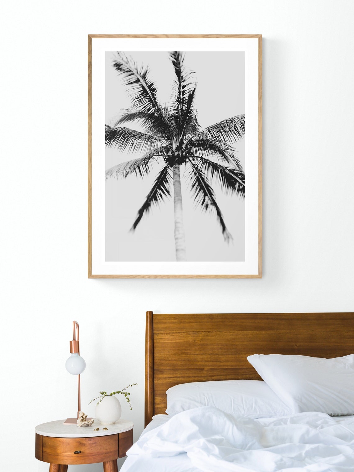 Black And White Palm Tree Photo, Tropical Florida